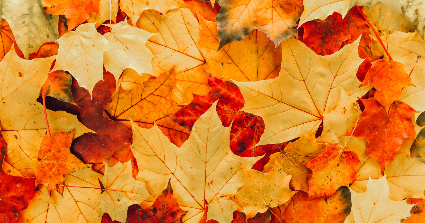 Bijoux dorés LÖMA à porter en automne
