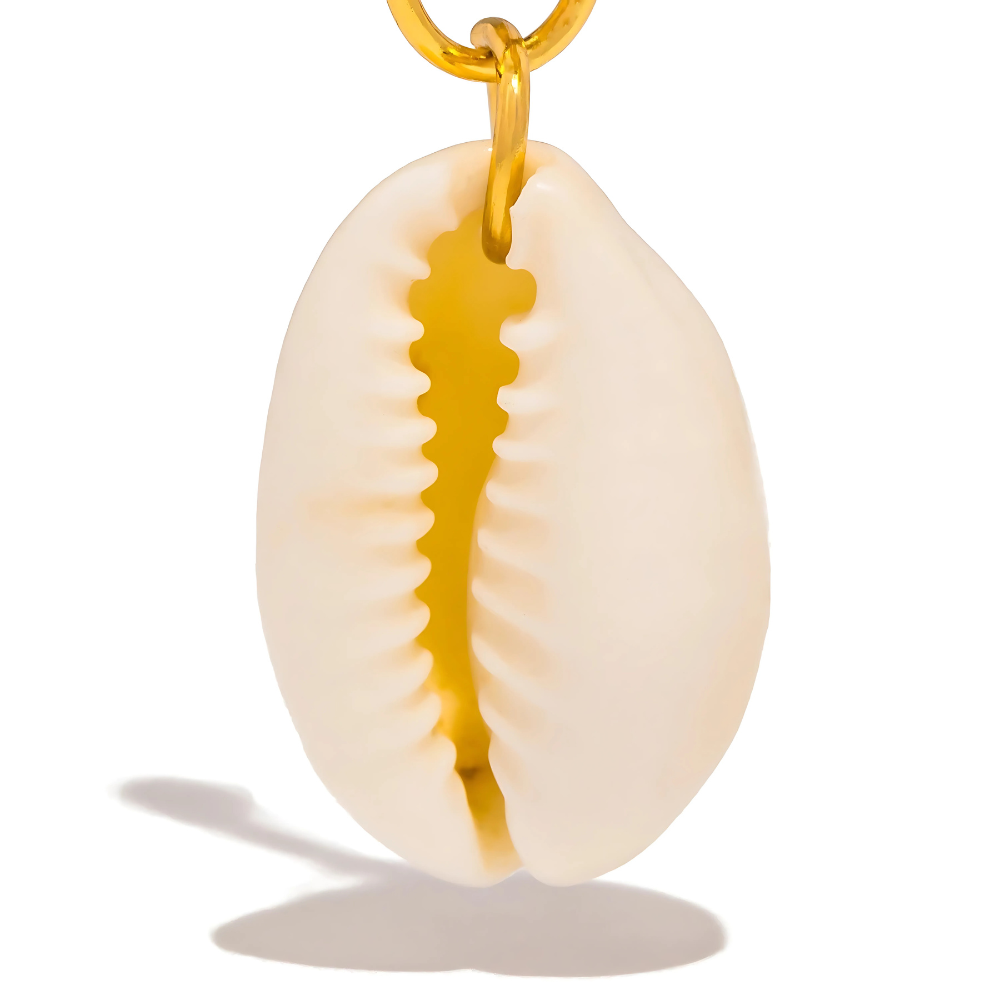 Boucles Bossa Nova