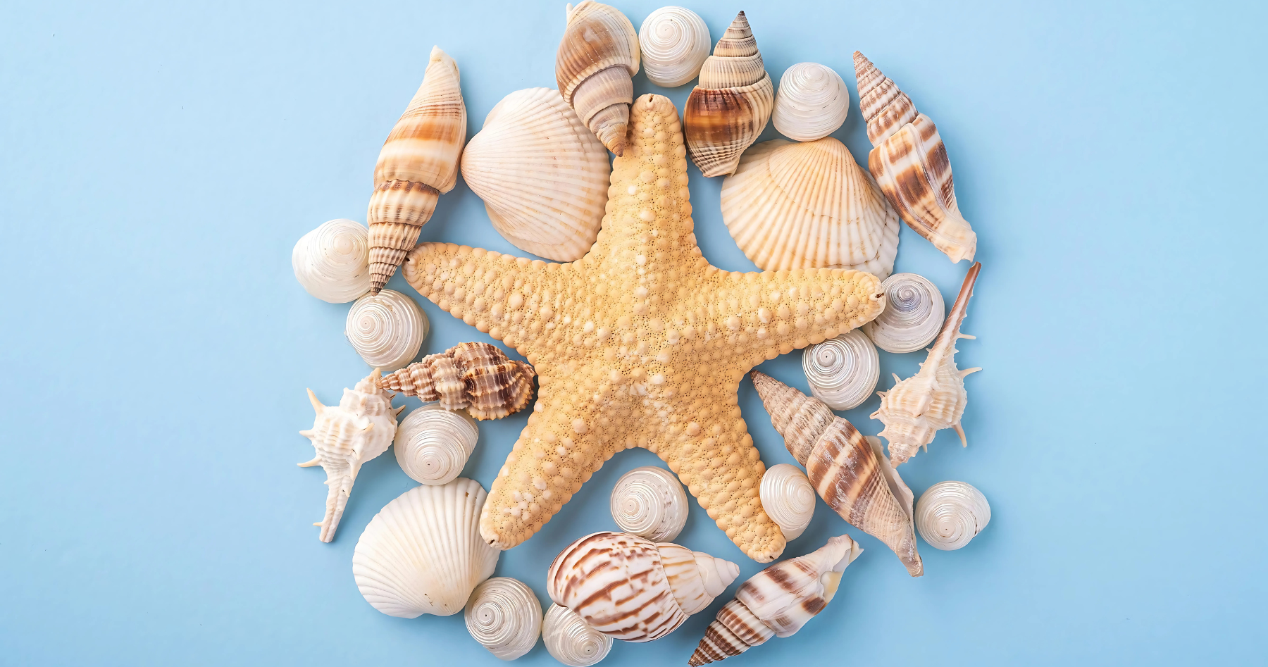 🌊 Les Bienfaits des Bijoux Symboliques Inspirés de l’Océan